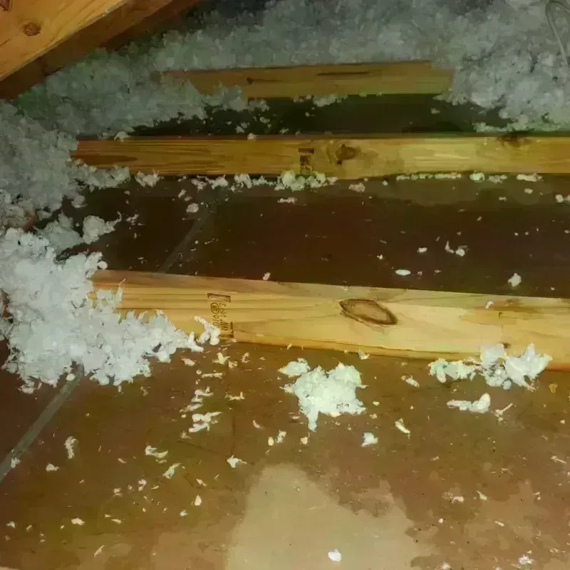 Attic Water Damage in Rosebud County, MT